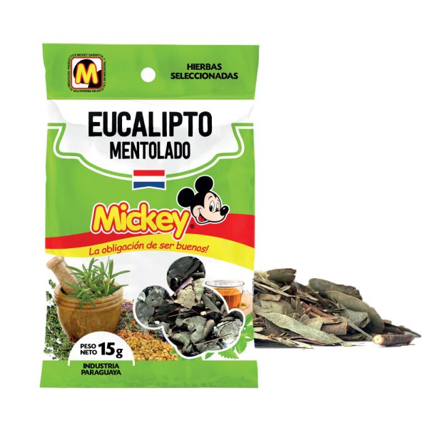 Eucalipto